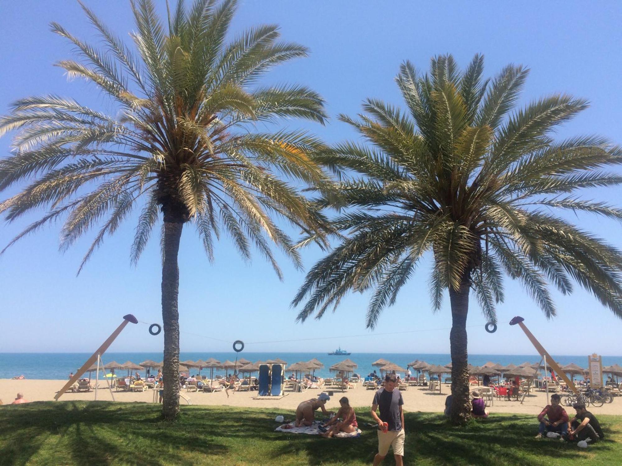 Mediterranean *
