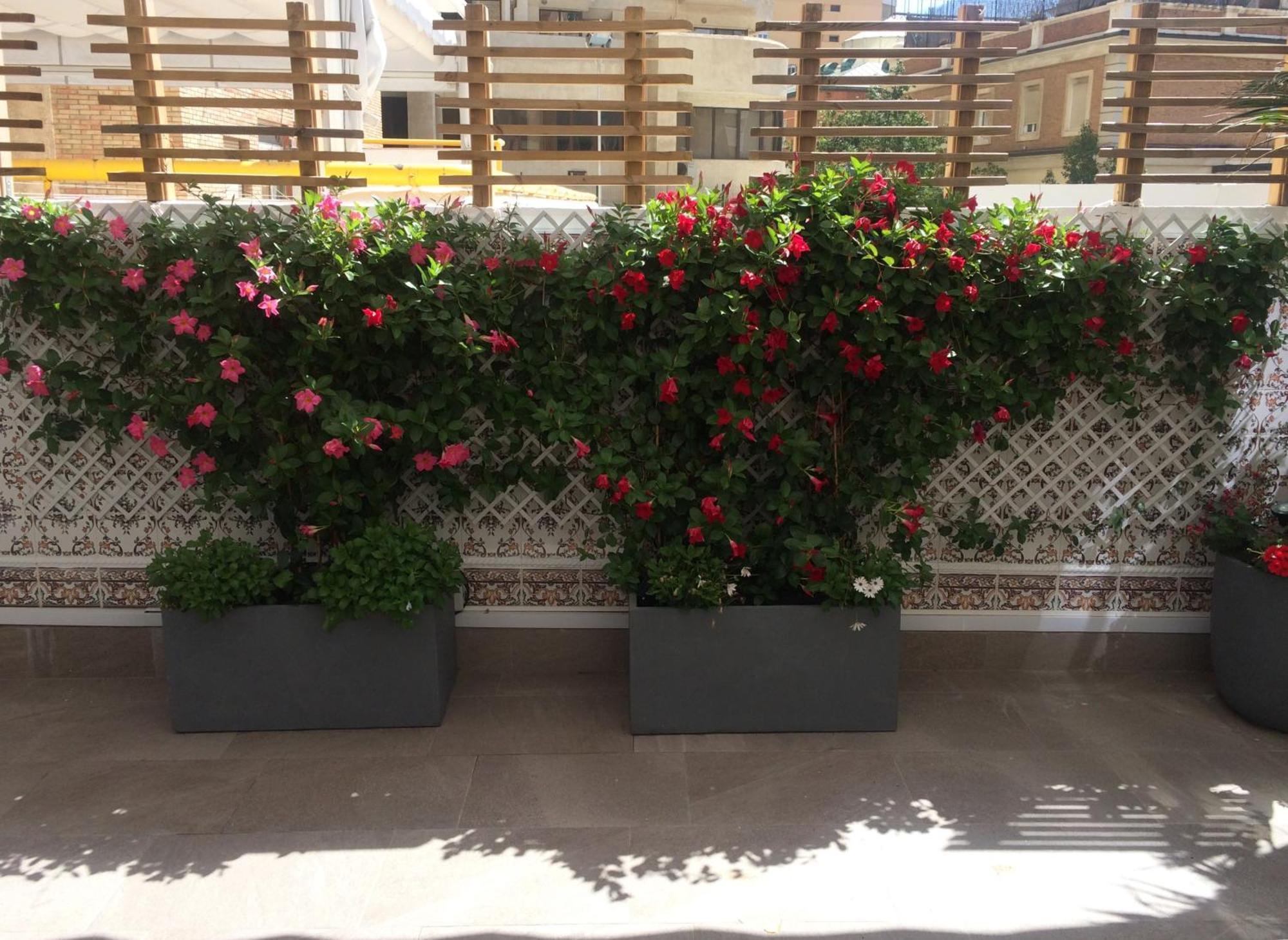 Mediterranean